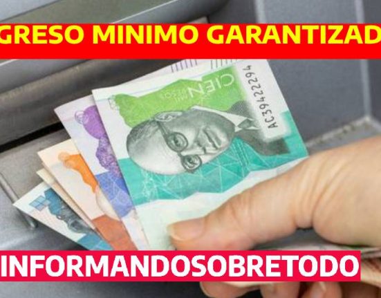 INGRESO MINIMO GARANTIZADO