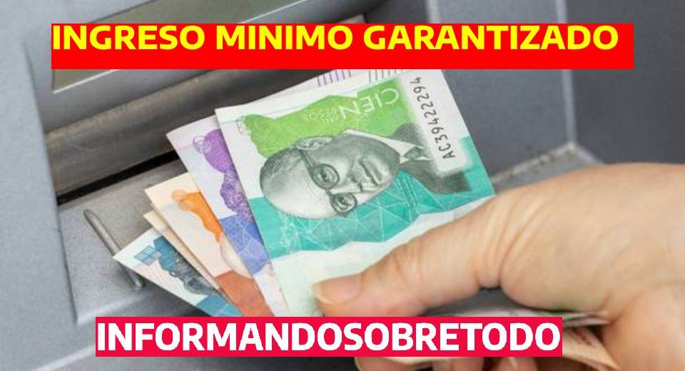 INGRESO MINIMO GARANTIZADO