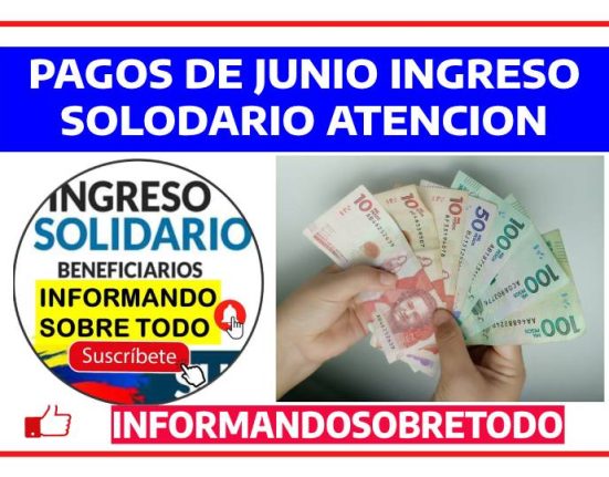 INGRESO SOLIDARIO