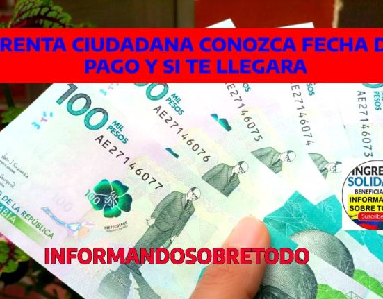 RENTA CIUDADANA (1)