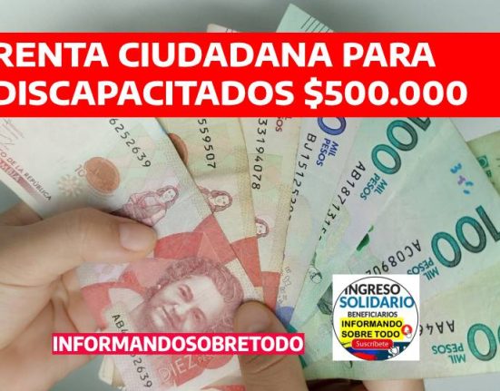 RENTA CIUDADANA (2)