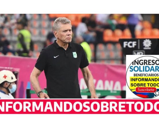 Director Técnico
