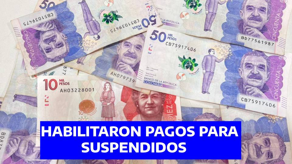 renta ciudadana