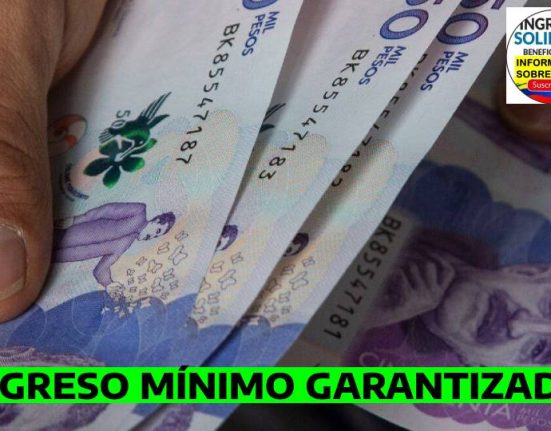 INGRESO MINIMO GARANTIZADO (1)