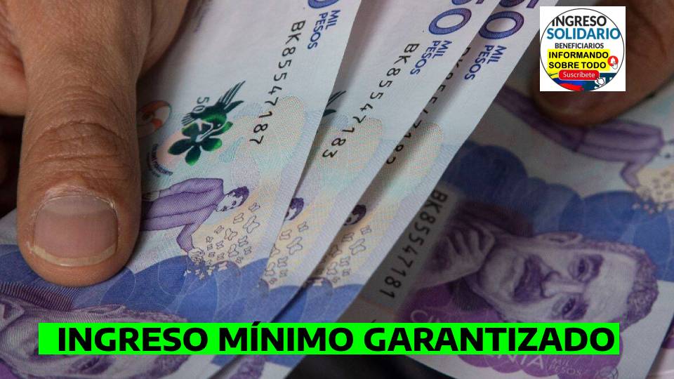 INGRESO MINIMO GARANTIZADO (1)