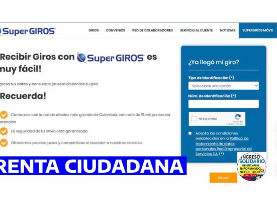 RENTA CIUDADANA (10)