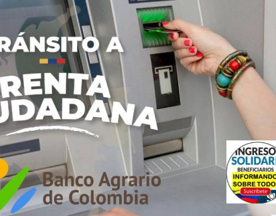 RENTA CIUDADANA (12)