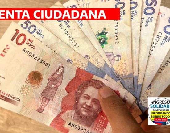 RENTA CIUDADANA (13)