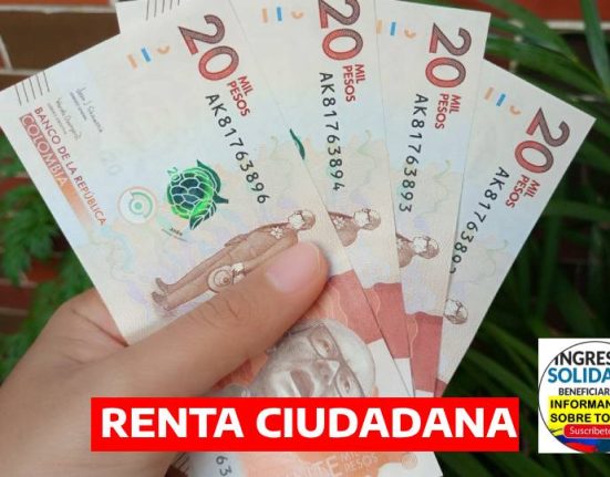 RENTA CIUDADANA (14)
