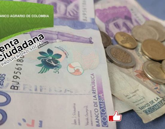 RENTA CIUDADANA (4)