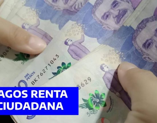 RENTA CIUDADANA (5)