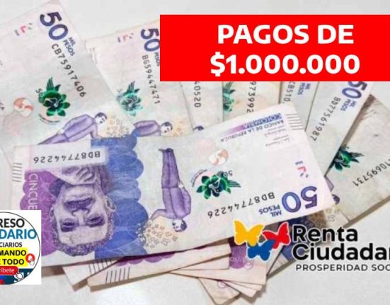 RENTA CIUDADANA (7)