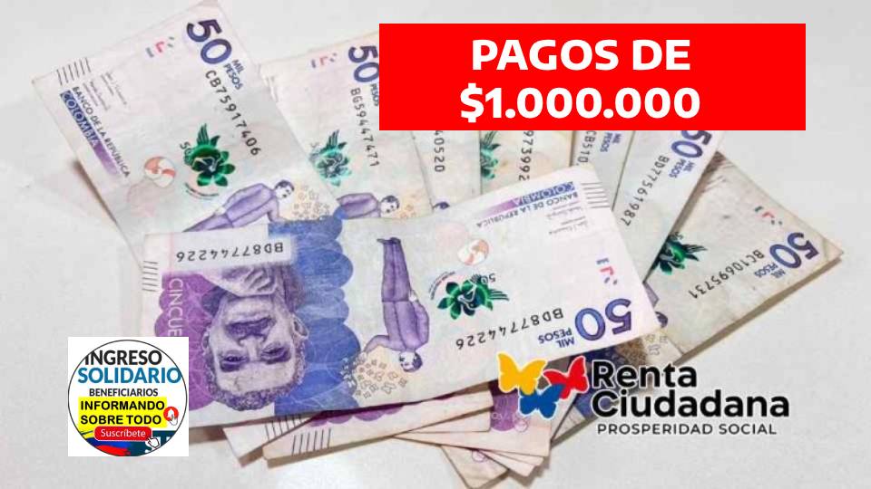 RENTA CIUDADANA (7)