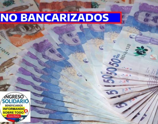 RENTA CIUDADANA