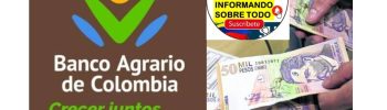 Renta Ciudadana