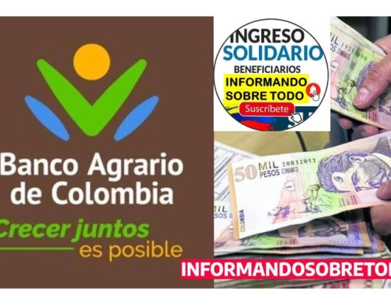 Renta Ciudadana