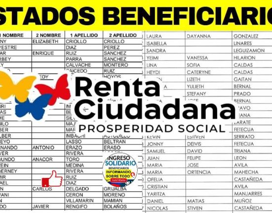 renta ciudadana