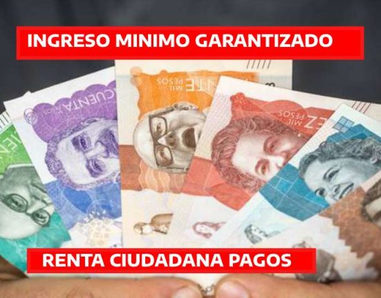 INGRESO MINIMO GARANTIZADO (2)