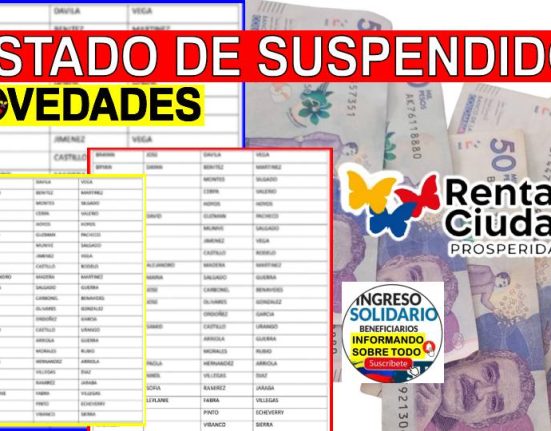 renta ciudadana (19)
