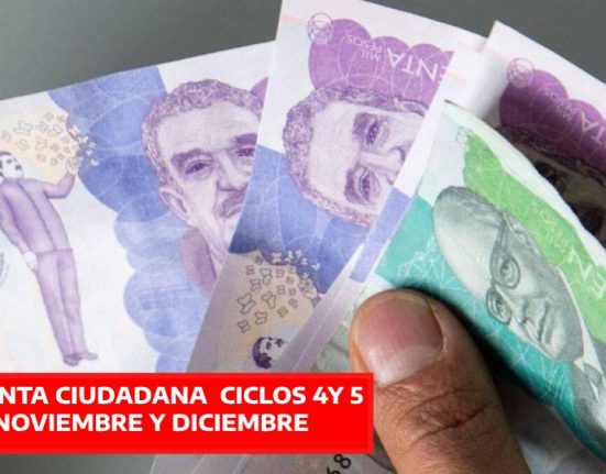 RENTA CIUDADANA (30)