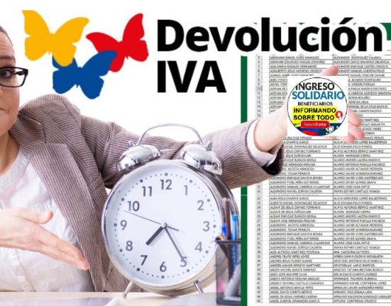 devolución del iva (6)