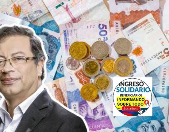 economía popular