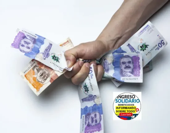 renta básica solidaria