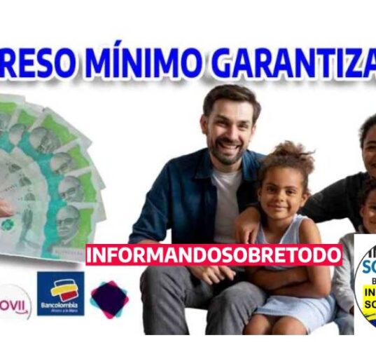 Ingreso-Minimo-Garantizado-4 (1)