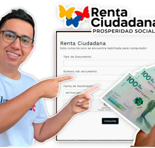 renta ciudadana