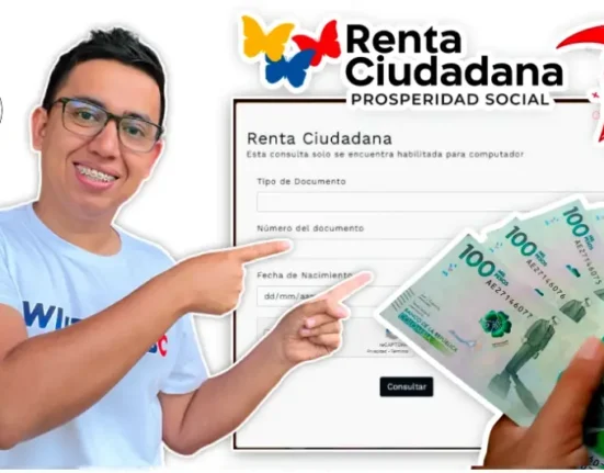 renta ciudadana