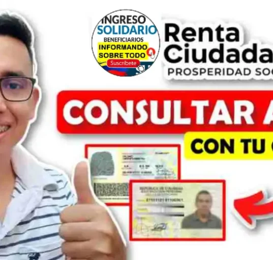renta ciudadana