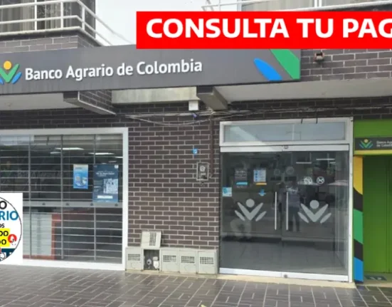 consulta tu pago