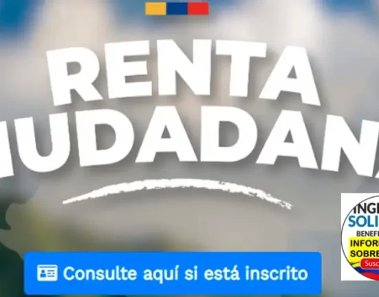 renta ciudadana