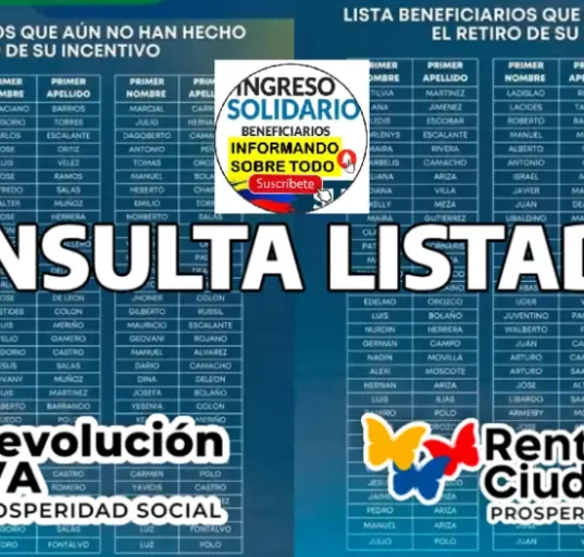 renta ciudadana