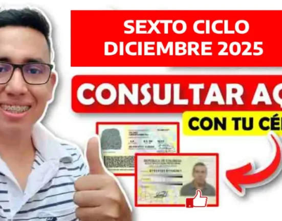 renta ciudadana