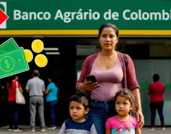 renta ciudadana