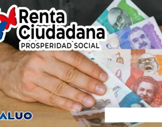 renta ciudadana