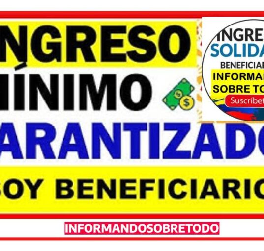 consulta tu pago