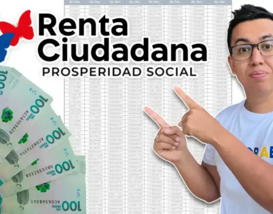 renta ciudadana