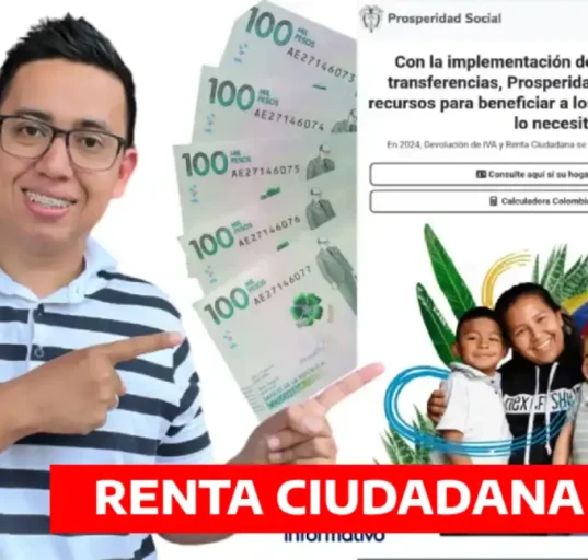 renta ciudadana