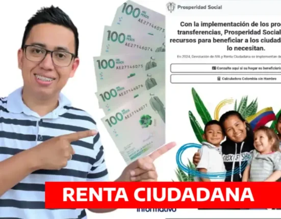 renta ciudadana