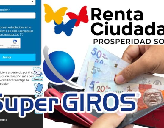 renta ciudadana