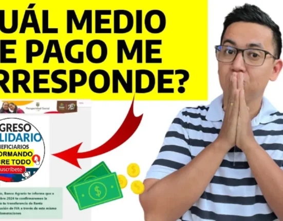 renta ciudadana