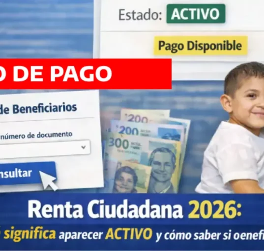consulta fácil y rápido