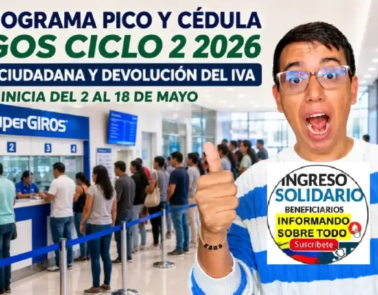 renta ciudadana (16)