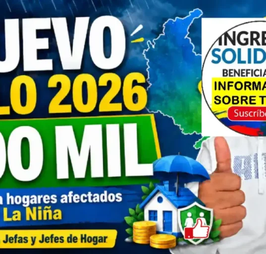 consulta nuevo ciclo