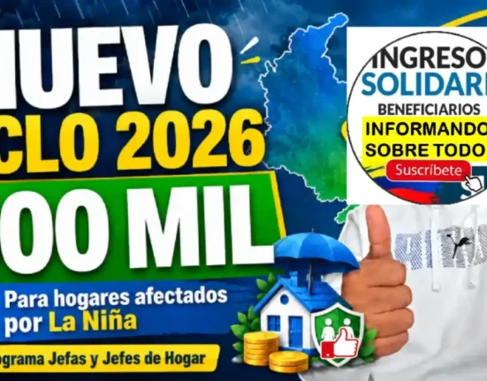 consulta nuevo ciclo