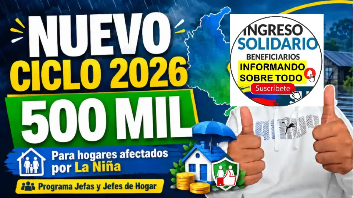 consulta nuevo ciclo