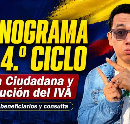 renta ciudadana